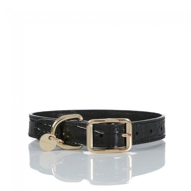 Brahmin Medium Pet Collar Black Melbourne ID:Brahmin-203581