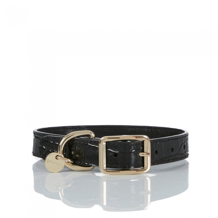 Brahmin Medium Pet Collar Black Melbourne ID:Brahmin-203581