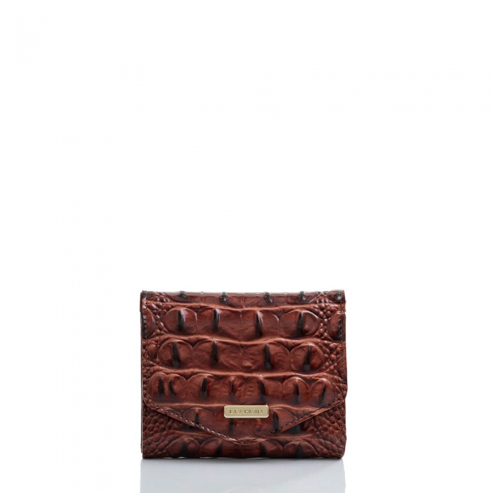 Brahmin Small Veronica Pecan Melbourne ID:Brahmin-203750