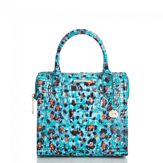 Brahmin Small Caroline Frisky Melbourne ID:Brahmin-203180