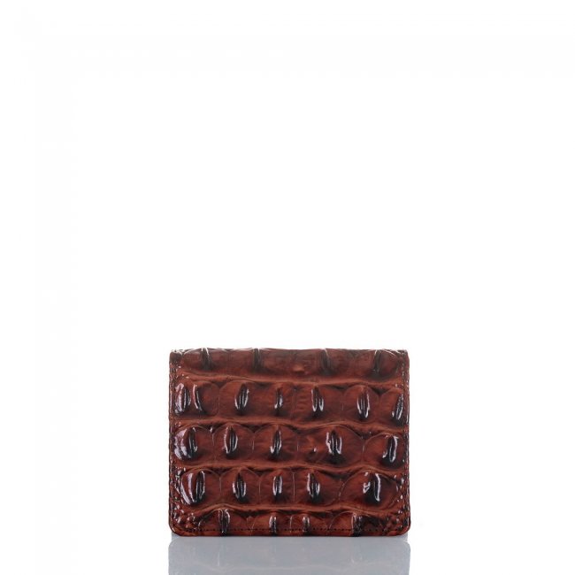 Brahmin Leo Wallet Pecan Melbourne ID:Brahmin-203741