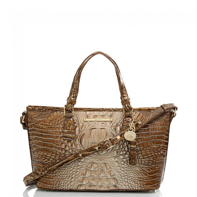 Brahmin Mini Asher Cappuccino Ombre Melbourne ID:Brahmin-202950