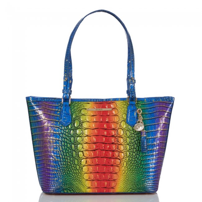 Brahmin Medium Asher Popsicle Ombre Melbourne ID:Brahmin-202765