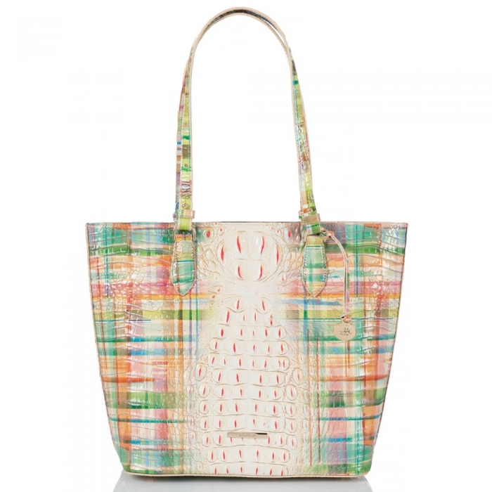 Brahmin Ellen Sweet Tea Ombre Melbourne ID:Brahmin-202847