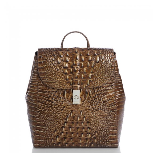 Brahmin Sadie Teak Ombre Melbourne ID:Brahmin-203539
