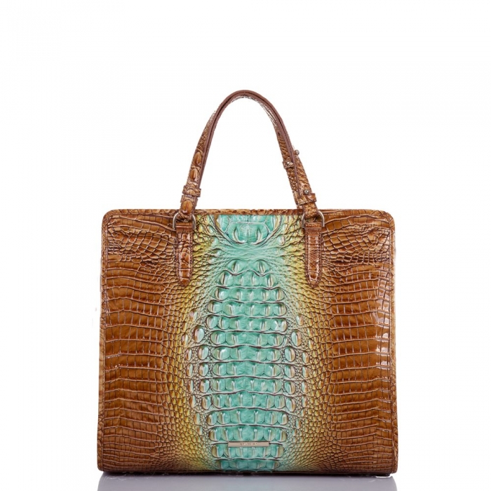 Brahmin Tia Cactus Ombre Melbourne ID:Brahmin-202722