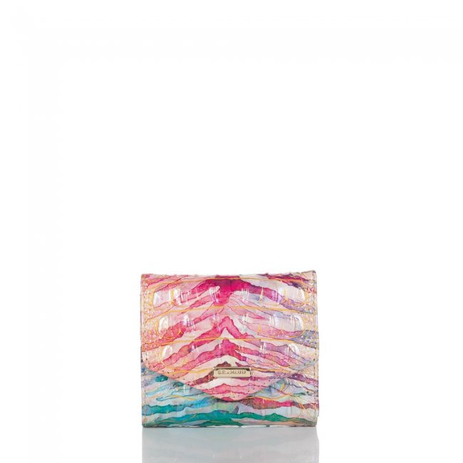 Brahmin Small Veronica Entice Ombre Melbourne ID:Brahmin-203686