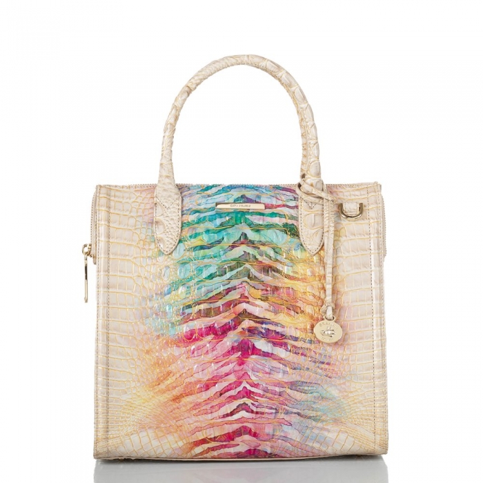 Brahmin Caroline Entice Ombre Melbourne ID:Brahmin-203128