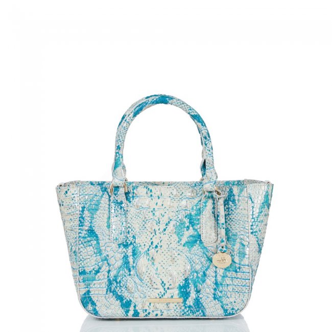 Brahmin Small Ashlee Mesmerized Melbourne ID:Brahmin-203243