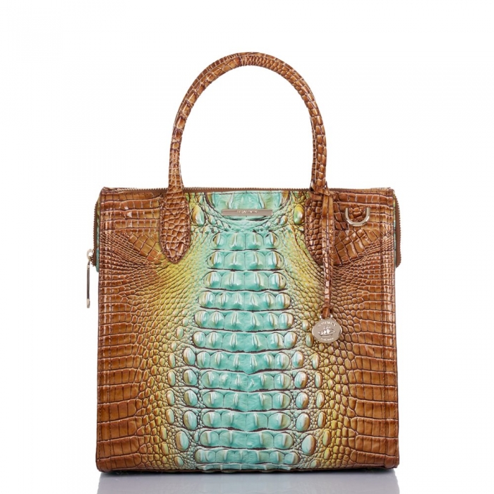 Brahmin Caroline Cactus Ombre Melbourne ID:Brahmin-203130