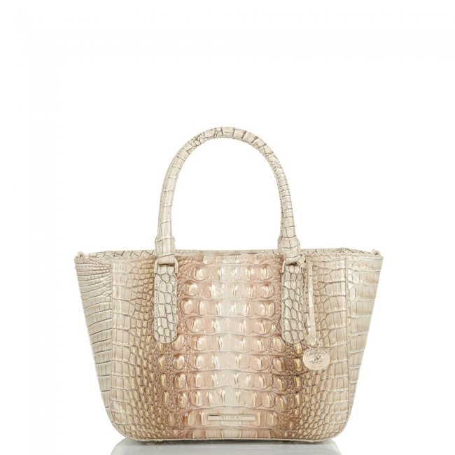 Brahmin Small Ashlee Scallop Ombre Melbourne ID:Brahmin-203236