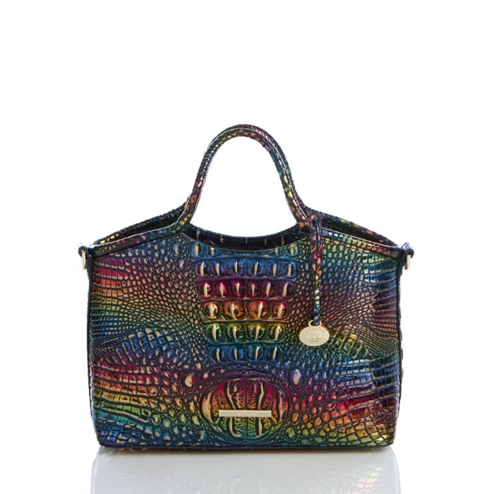 Brahmin Small Elaine Technicolor Melbourne ID:Brahmin-203025