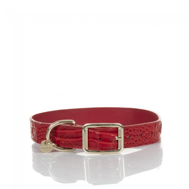 Brahmin Large Pet Collar Carnation Melbourne ID:Brahmin-203588