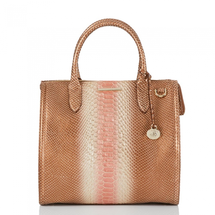 Brahmin Caroline Natural CocoBay ID:Brahmin-203139