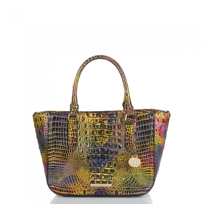 Brahmin Small Ashlee Neon Lights Mini Melbourne ID:Brahmin-203244