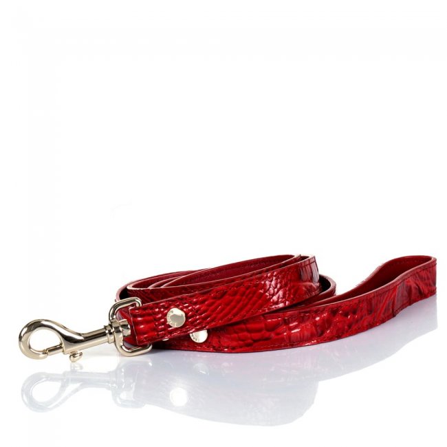 Brahmin Medium Pet Leash Carnation Melbourne ID:Brahmin-203591