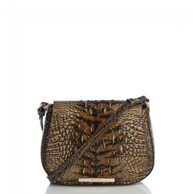 Brahmin Small Nadine Instinct Ombre Melbourne ID:Brahmin-203327