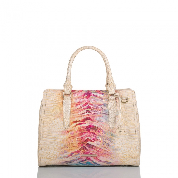 Brahmin Small Finley Entice Ombre Melbourne ID:Brahmin-203220