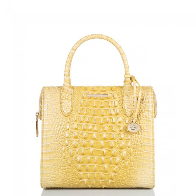 Brahmin Small Caroline Butter Melbourne ID:Brahmin-203170