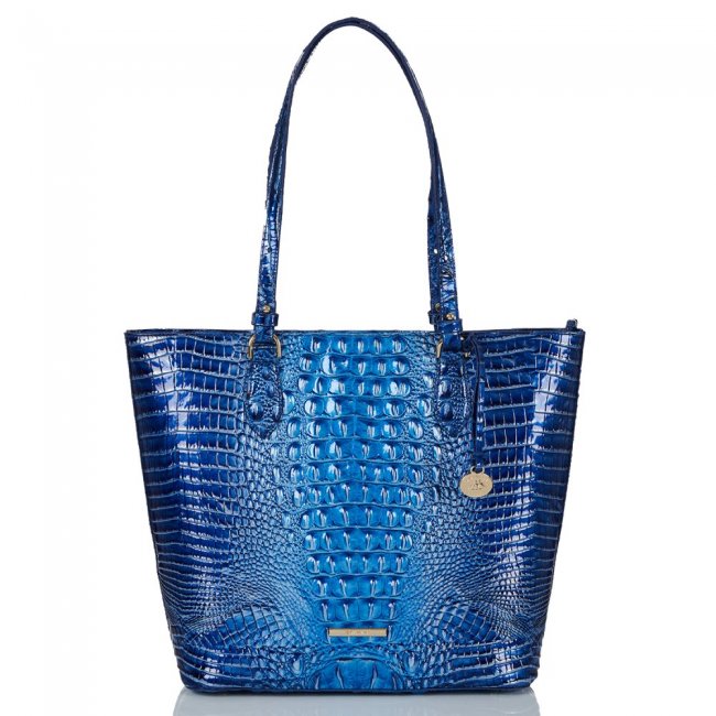 Brahmin Ellen Vista Blue Ombre Melbourne ID:Brahmin-202848