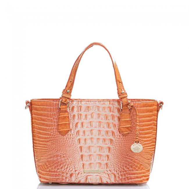Brahmin Mini Misha Sherbert Ombre Melbourne ID:Brahmin-203015