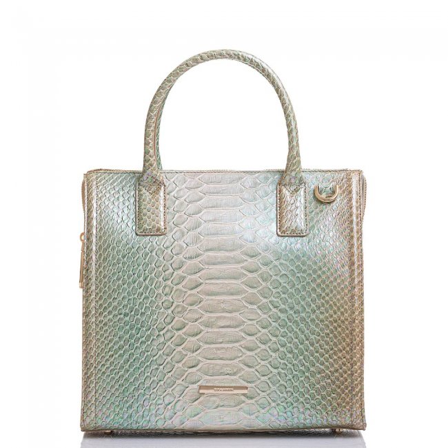 Brahmin Caroline Green Velocity ID:Brahmin-202974 Brahmin Caroline Green Velocity ID:Brahmin-202974