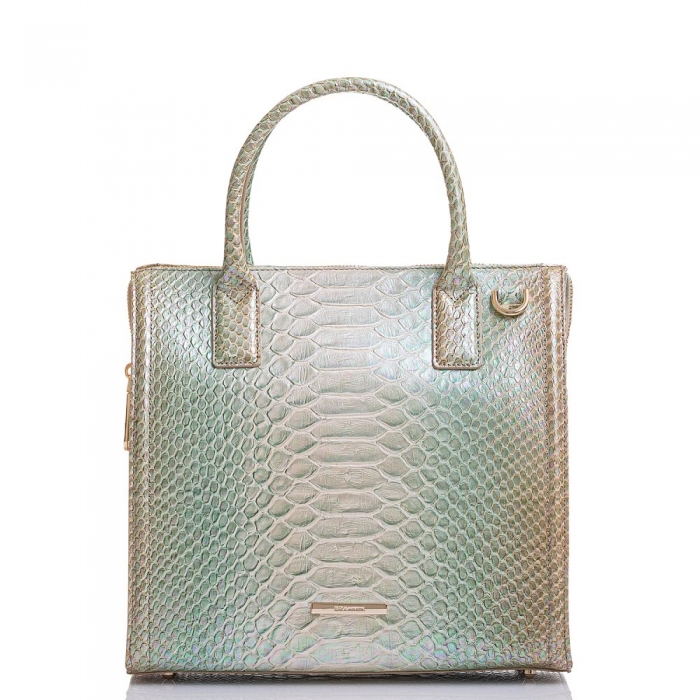 Brahmin Caroline Green Velocity ID:Brahmin-202974