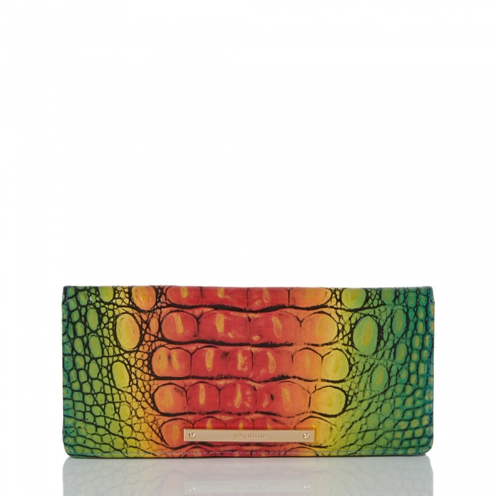 Brahmin Ady Wallet Popsicle Ombre Melbourne ID:Brahmin-203761