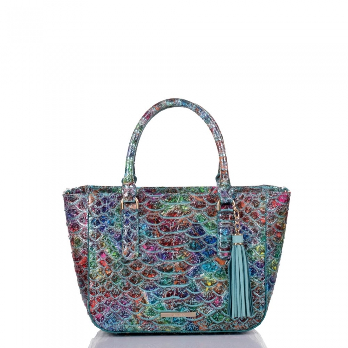 Brahmin Small Ashlee Frisky Montego ID:Brahmin-202973