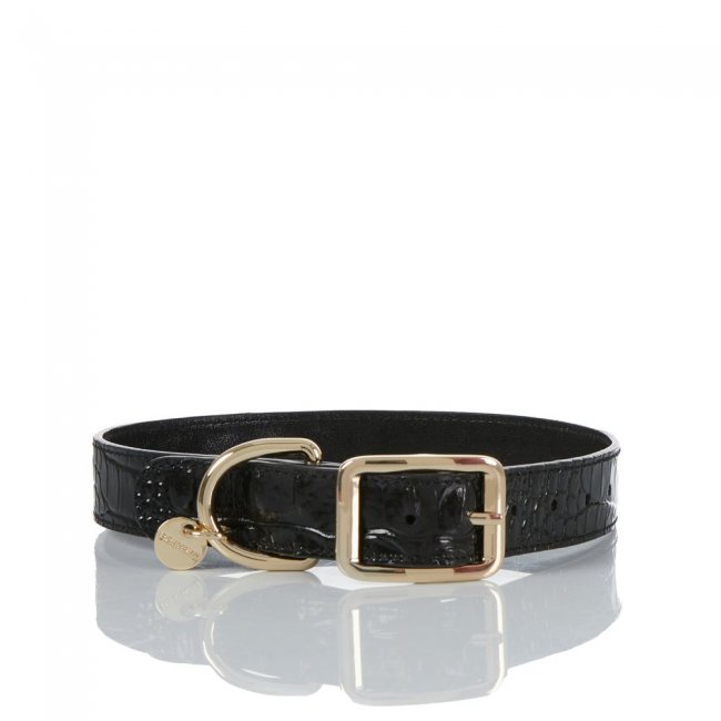 Brahmin Large Pet Collar Black Melbourne ID:Brahmin-203582