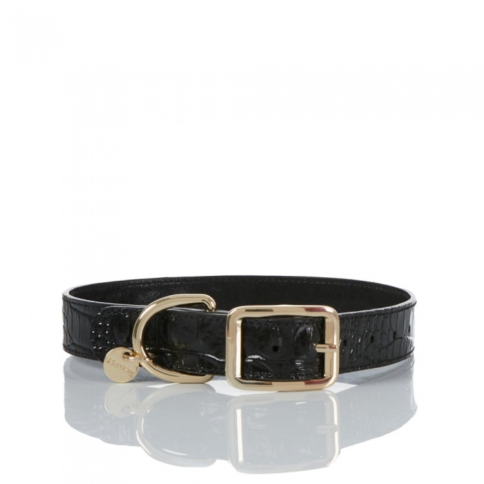 Brahmin Large Pet Collar Black Melbourne ID:Brahmin-203582