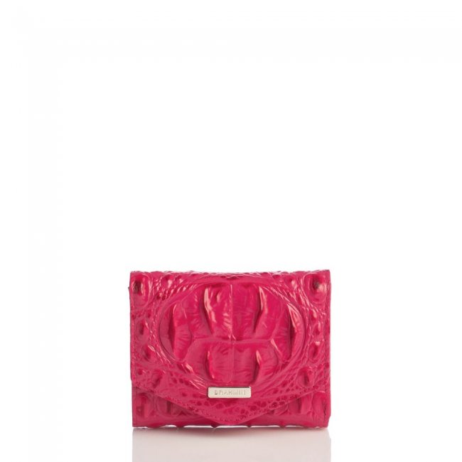 Brahmin Small Veronica Sweetheart Ombre Melbourne ID:Brahmin-203809