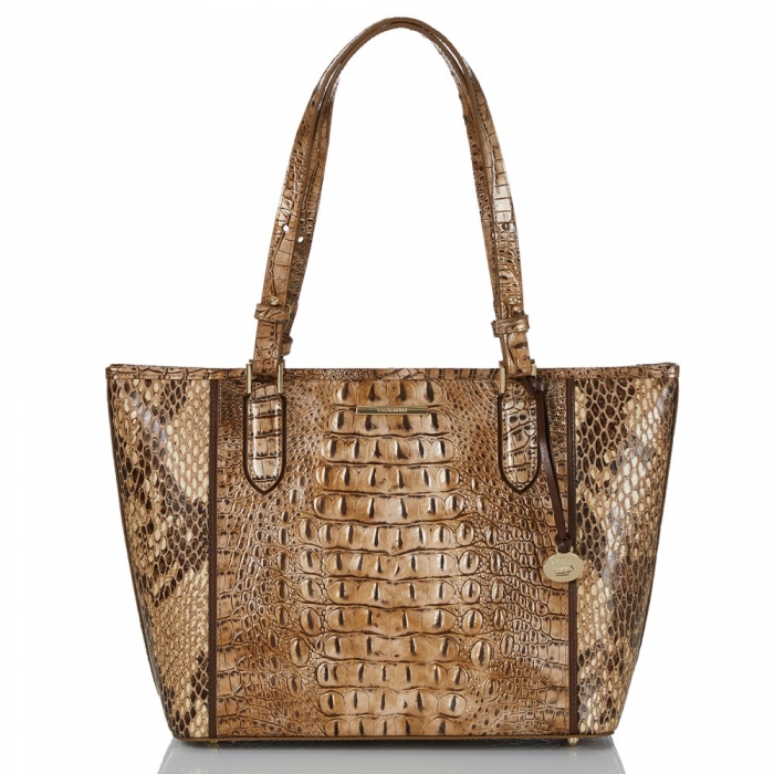 Brahmin Medium Asher Cashew Cooper ID:Brahmin-202798