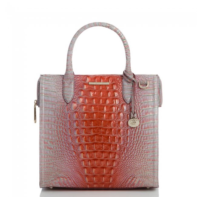 Brahmin Caroline Flirty Ombre Melbourne ID:Brahmin-203126