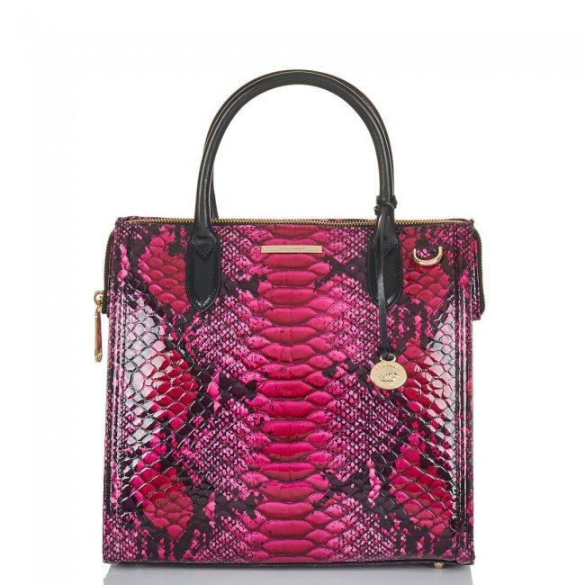 Brahmin Caroline Potion Ziggy ID:Brahmin-203142