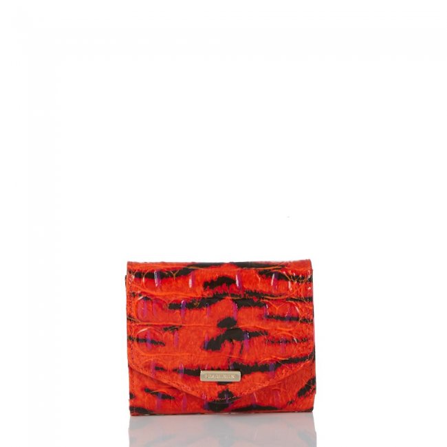 Brahmin Small Veronica Pink Feline Ombre Melbourne ID:Brahmin-203756