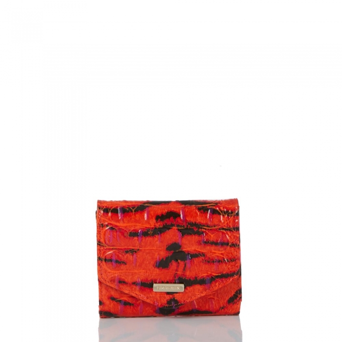 Brahmin Small Veronica Pink Feline Ombre Melbourne ID:Brahmin-203756