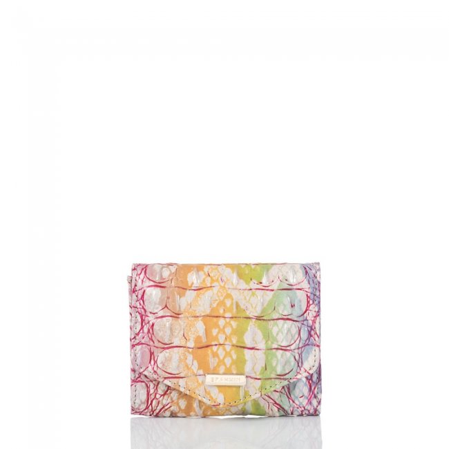 Brahmin Small Veronica Optimism Melbourne ID:Brahmin-203734