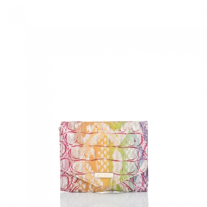 Brahmin Small Veronica Optimism Melbourne ID:Brahmin-203734