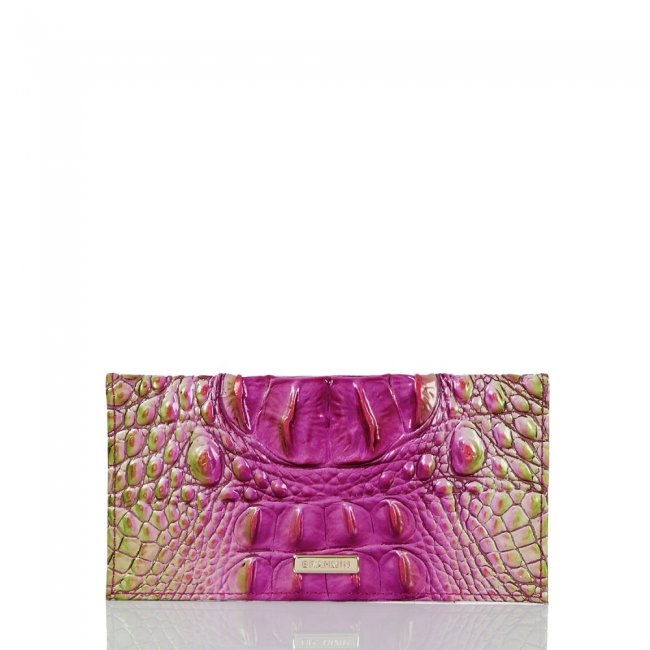 Brahmin Cordelia Checkbook Limeade Ombre Melbourne ID:Brahmin-203712