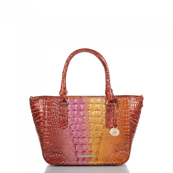 Brahmin Small Ashlee Glam Ombre Melbourne ID:Brahmin-203239
