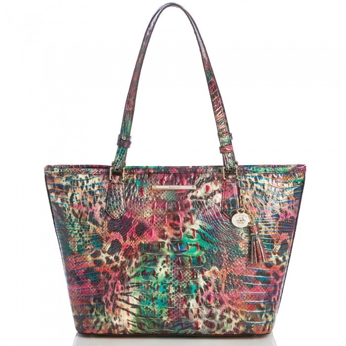 Brahmin Medium Asher Shapeshifter Melbourne ID:Brahmin-202776