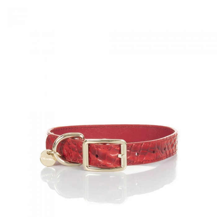 Brahmin Medium Pet Collar Carnation Melbourne ID:Brahmin-203587