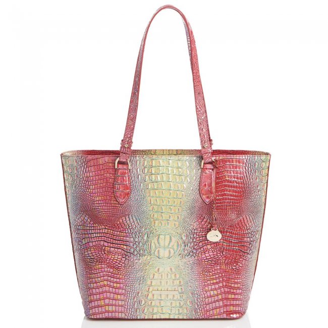 Brahmin Ellen Dragonfruit Ombre Mini Melbourne ID:Brahmin-202851