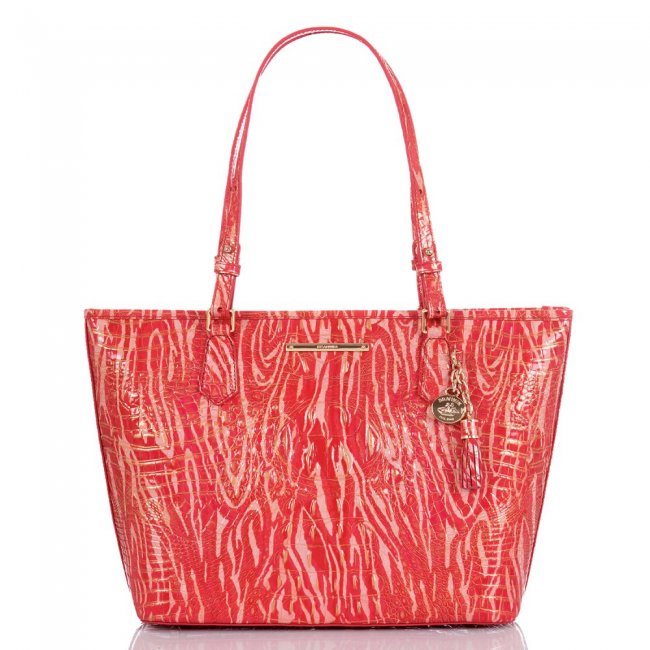 Brahmin Medium Asher Beloved Melbourne ID:Brahmin-202711