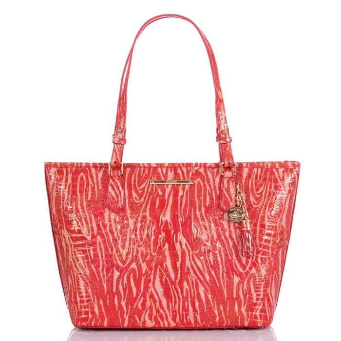 Brahmin Medium Asher Beloved Melbourne ID:Brahmin-202711