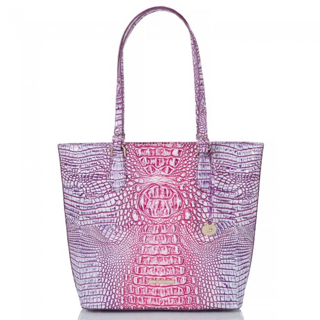 Brahmin Ellen Boysenberry Ombre Melbourne ID:Brahmin-202844