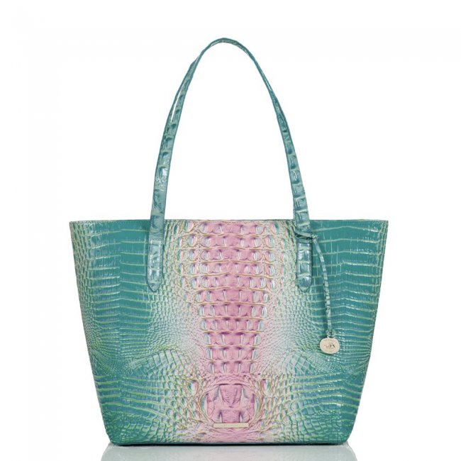 Brahmin Brooke Cotton Candy Ombre Melbourne ID:Brahmin-202809
