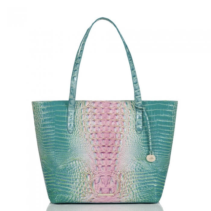 Brahmin Brooke Cotton Candy Ombre Melbourne ID:Brahmin-202809