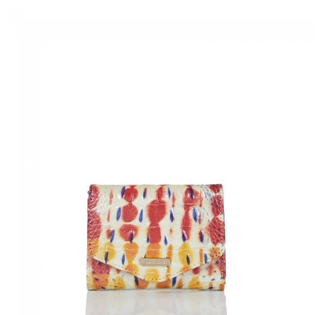 Brahmin Small Veronica Celebrate Melbourne ID:Brahmin-203655